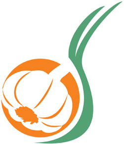 Agro Allium Tierras del Tulum